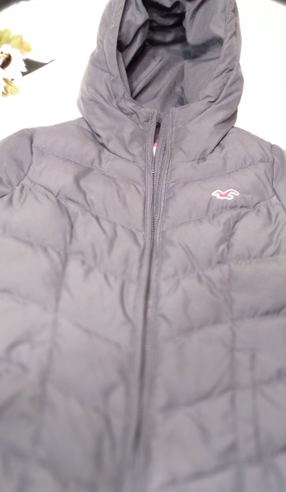 Hollister jacket